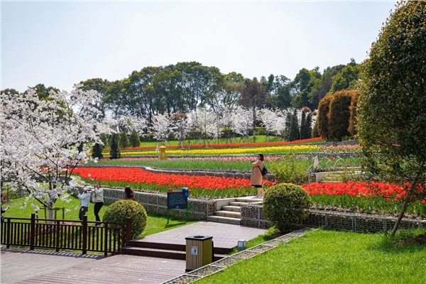岳陽花語世界、汴河街一日游