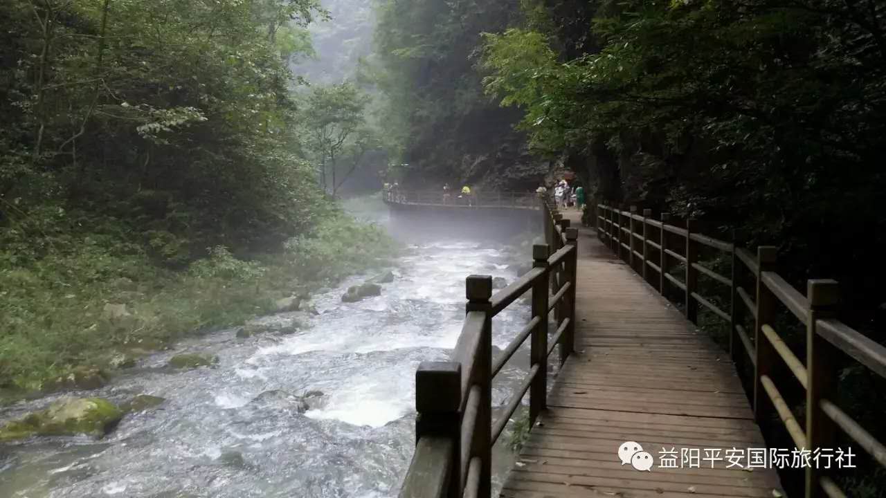 　張家界大峽谷、玻璃橋、黃龍洞品質(zhì)純玩兩日游c2