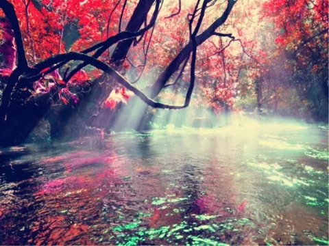 貴州-黃果樹瀑布、荔波大小七孔、西江千戶苗寨5日游