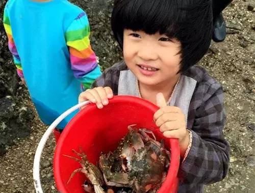 廈門(mén)親子雙飛五日游