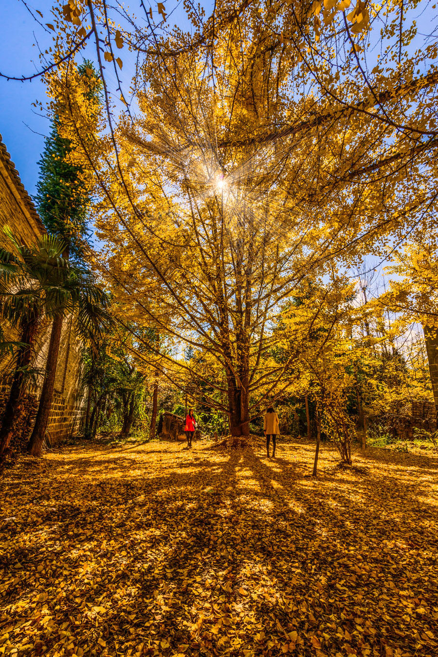 長沙直飛騰沖、瑞麗、芒市雙飛六日游