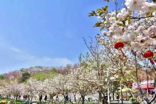 長(zhǎng)沙潯龍河櫻花谷、田漢文化園一日游